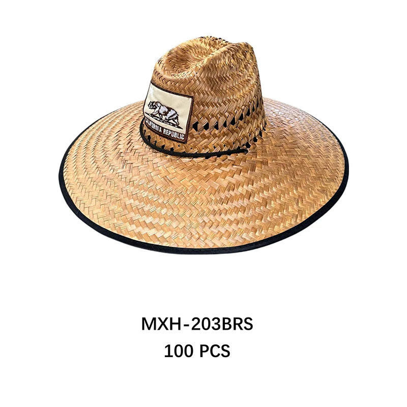 MXH-203BRS CS-100